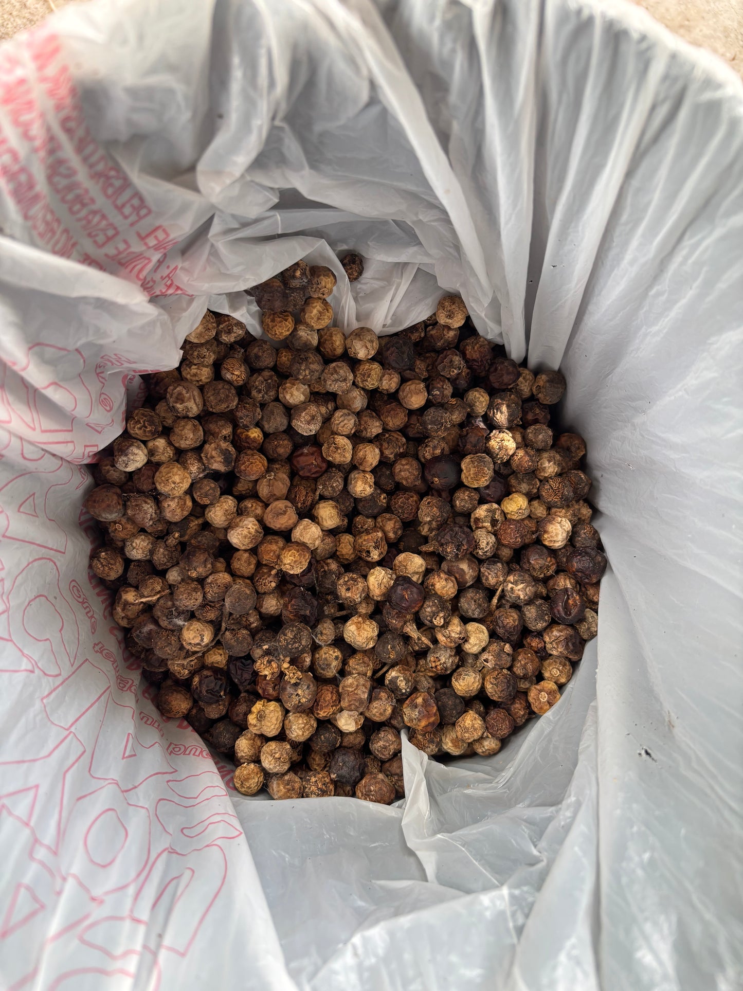 Dry Sundakkai (Turkey Berry)