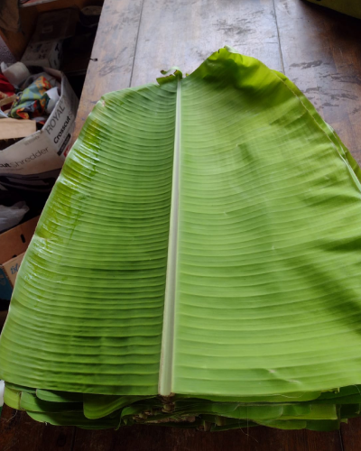 Banana Leaves