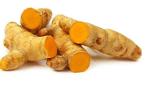 Turmeric Root