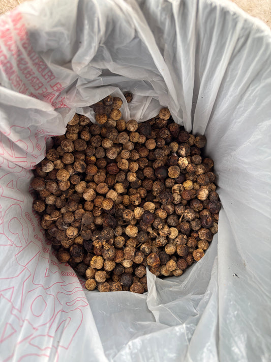 Dry Sundakkai (Turkey Berry)