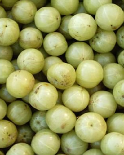 Amla (Goose Berry)