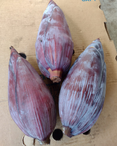 Banana Flower