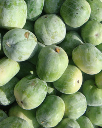 Ash Gourd (White Pumpkin)