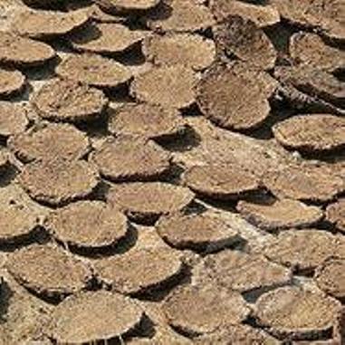 Cow Manure (Dung Cakes)